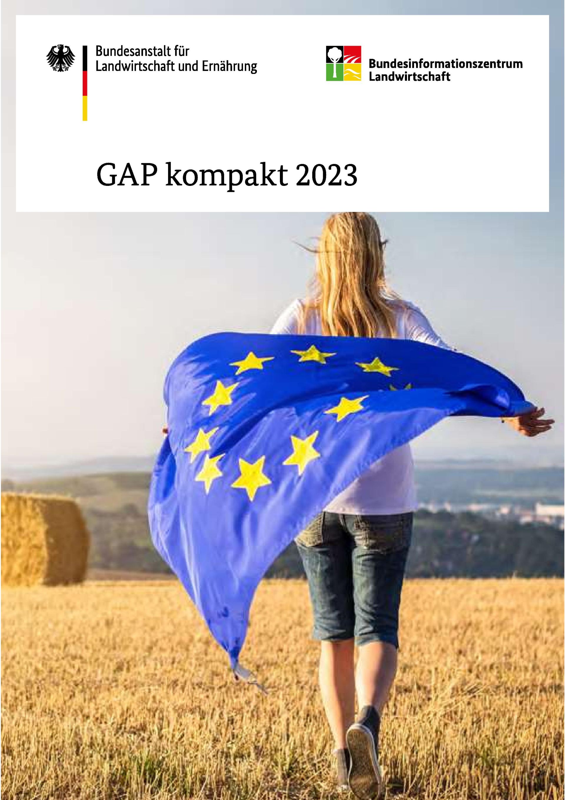 Titelbild GAP Broschüre, Person mit Europaflagge