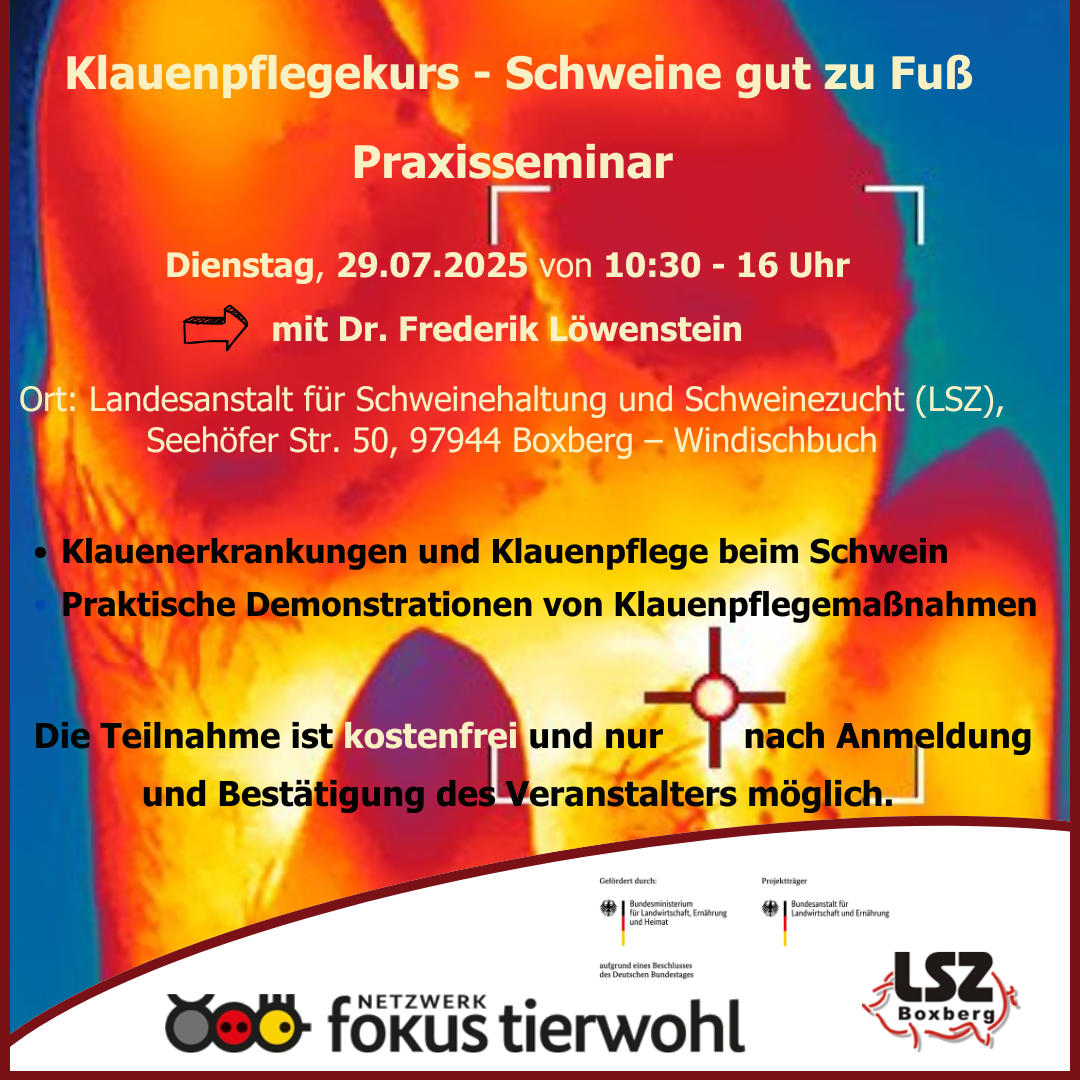 Flyer Seminar Klauenpflege